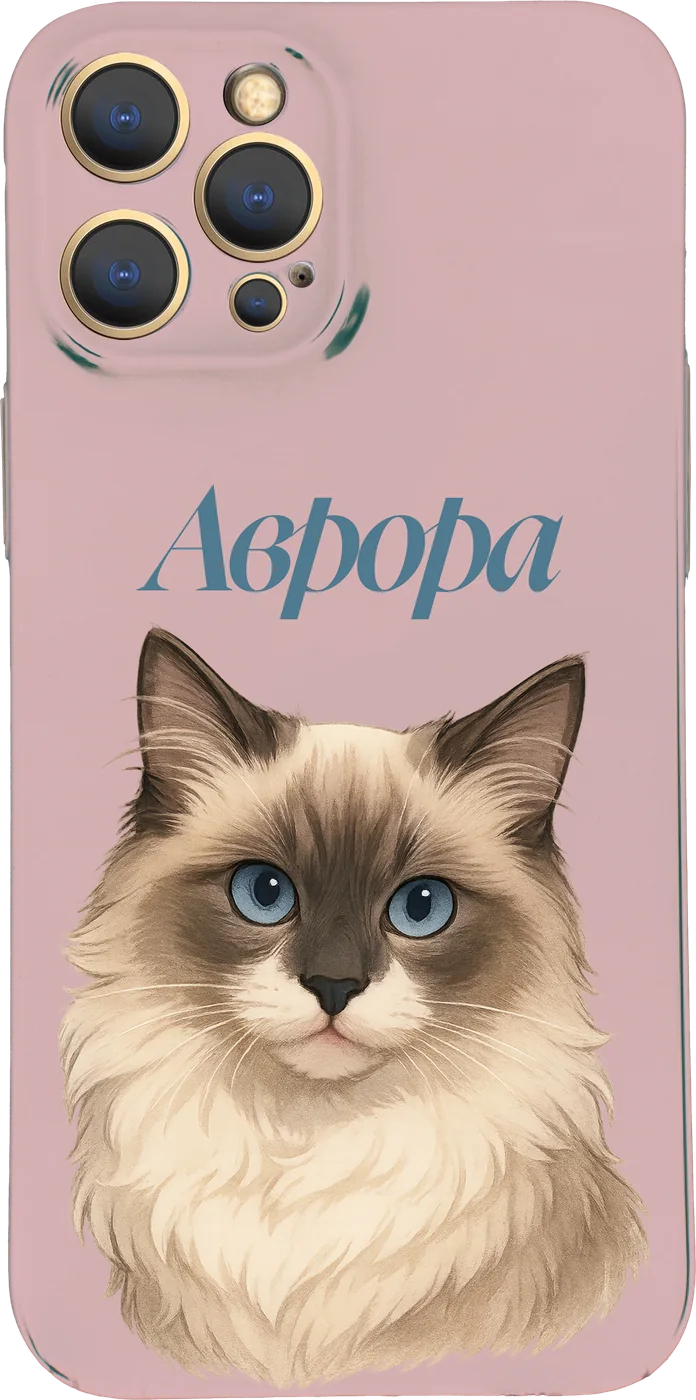 Aurora — Phone Case Collections
